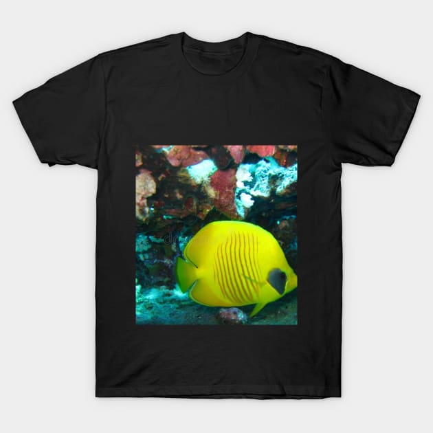 Ocean T-Shirt by Naspun store